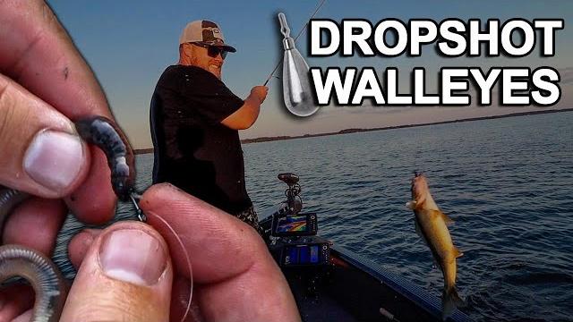 Dropshot walleyes when they won't eat anything else Dropshot walleyes when they won't eat anything else