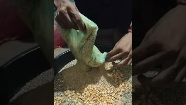 Kabutaro ka dana bana diya#kabutar #viral #shorts #dana kabutar ka #bird lovers #bird family #pets Kabutaro ka dana bana diya#kabutar #viral #shorts #dana kabutar ka #bird lovers #bird family #pets