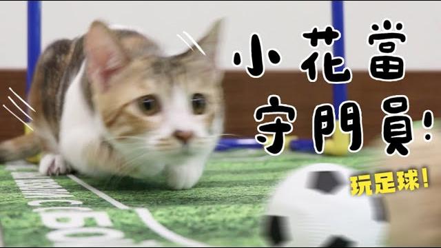 【黃阿瑪的後宮生活】小花當守門員!玩足球啦! 【黃阿瑪的後宮生活】小花當守門員!玩足球啦!