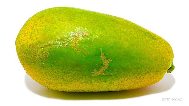 Rotting papaya Rotting papaya