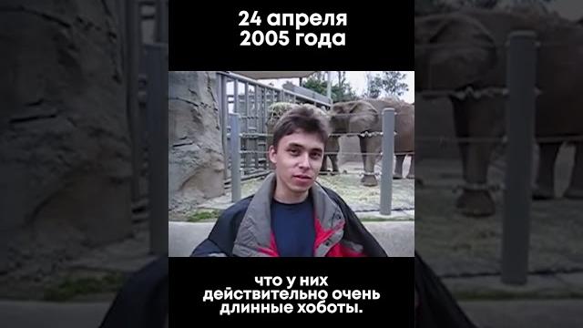 Это самое первое видео на youtube! #первоевидео #shorts Это самое первое видео на youtube! #первоевидео #shorts
