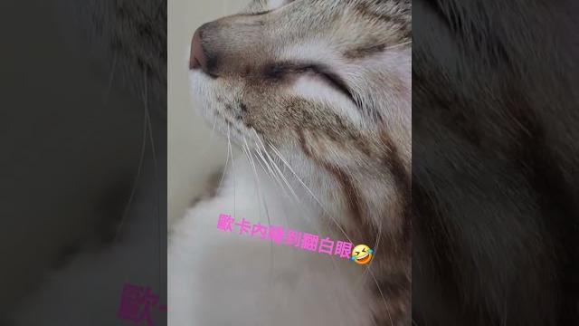 歐卡內~睡到翻白眼 歐卡內~睡到翻白眼