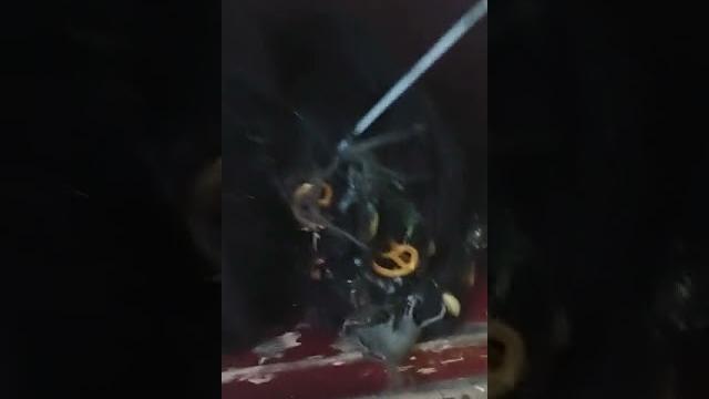 Как к коту прилипла мышь Как к коту прилипла мышь