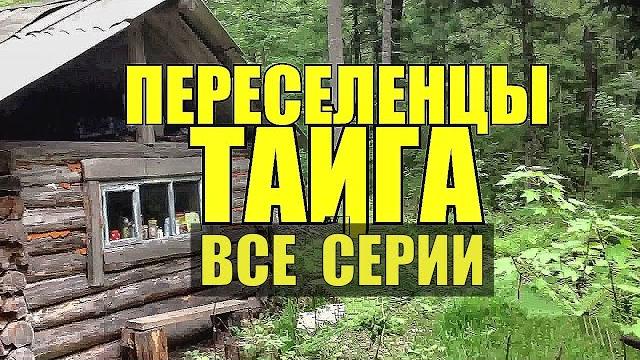 Сериал переселенцы в тайге судьба истории из жизни каторга ссылка в сибири жизнь в лесу все серии Сериал переселенцы в тайге судьба истории из жизни каторга ссылка в сибири жизнь в лесу все серии