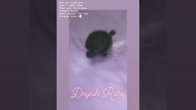 Deyah rosé ️ Deyah rosé ️