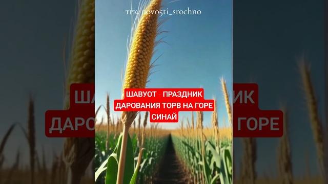 Шавуот - дарование торы на горе синай Шавуот - дарование торы на горе синай