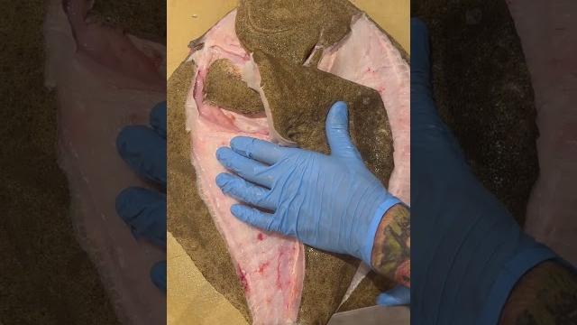 How to prep a turbot | straker's How to prep a turbot | straker's