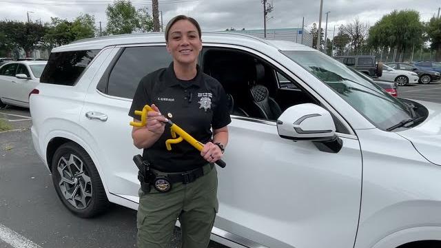 Steering wheel lock giveaway Steering wheel lock giveaway