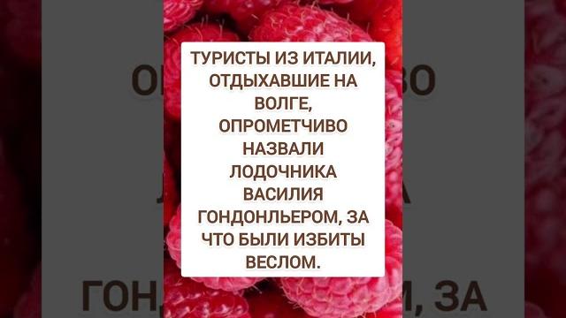 Спасибо за и подписку ️ Спасибо за и подписку ️