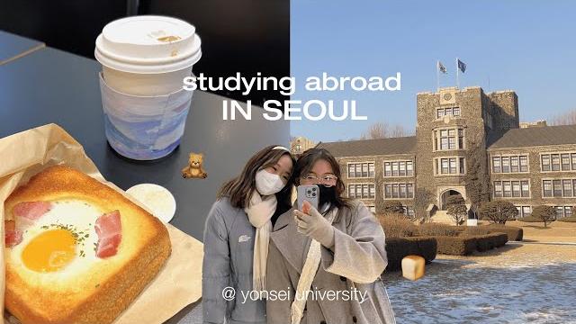 Seoul diaries *int'l yonsei student edition* moving into dorms, cafeteria food, cafe hopping Seoul diaries *int'l yonsei student edition* moving into dorms, cafeteria food, cafe hopping