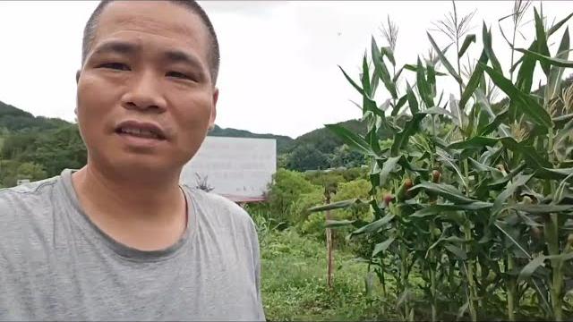 骑电三轮旅行,进入贵州一路好风光,路边做饭吃 骑电三轮旅行 骑电三轮旅行,进入贵州一路好风光,路边做饭吃 骑电三轮旅行