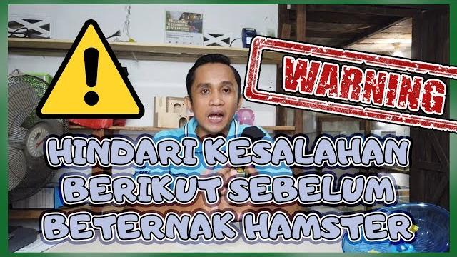 10 kesalahan umum para peternak hamster 10 kesalahan umum para peternak hamster