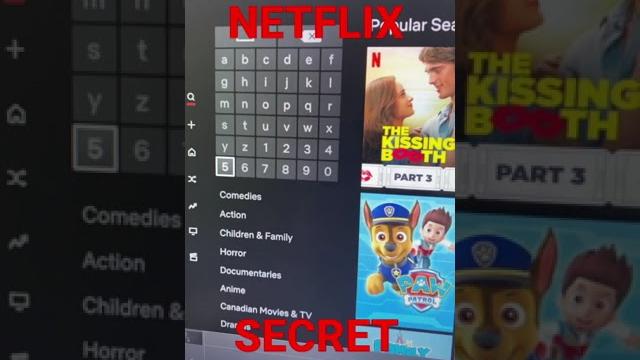 Netflix secret codes Netflix secret codes