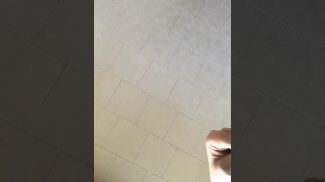 Miuuuu Miuuuu