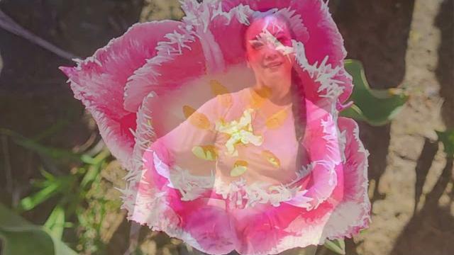 心悦舞蹈团18周年汇演 心悦舞蹈团18周年汇演