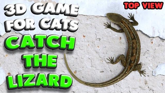 3d game for cats | catch the lizard (top view) | 4k, 60 fps, stereo sound 3d game for cats | catch the lizard (top view) | 4k, 60 fps, stereo sound