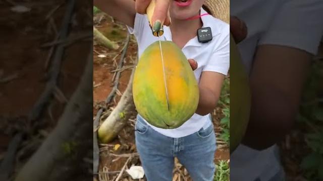 Beautiful nature - inspur fresh fruit wonderful video of industry #2217 Beautiful nature - inspur fresh fruit wonderful video of industry #2217