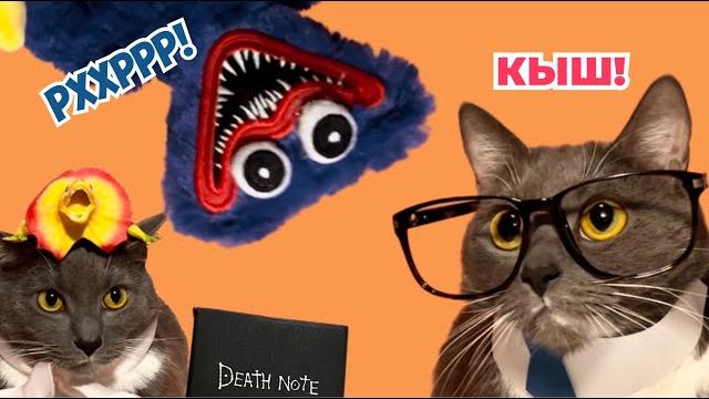 Если бы котики ходили в школу - любимые серии учеников Если бы котики ходили в школу - любимые серии учеников