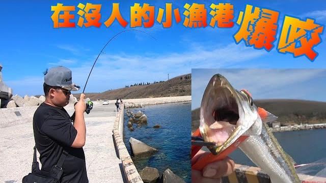 湛藍大海清澈見底的超美漁港竟有這麼多魚!一隻接著一隻釣起來! 湛藍大海清澈見底的超美漁港竟有這麼多魚!一隻接著一隻釣起來!