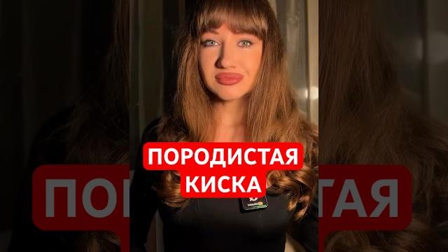 Породистая киска Породистая киска
