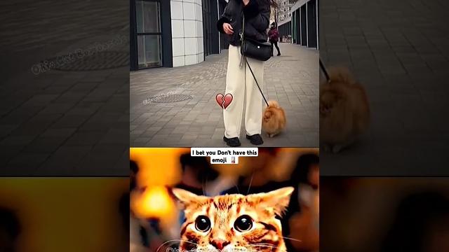 Aura cat funny #funny #cat #memes Aura cat funny #funny #cat #memes