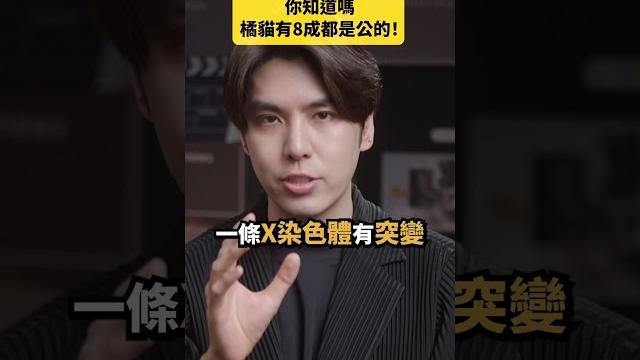 8成橘貓都是公的!你知道為什麼嗎?|志祺七七 shorts #daily 8成橘貓都是公的!你知道為什麼嗎?|志祺七七 shorts #daily