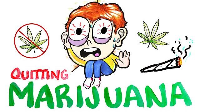 What happens when you quit marijuana? What happens when you quit marijuana?