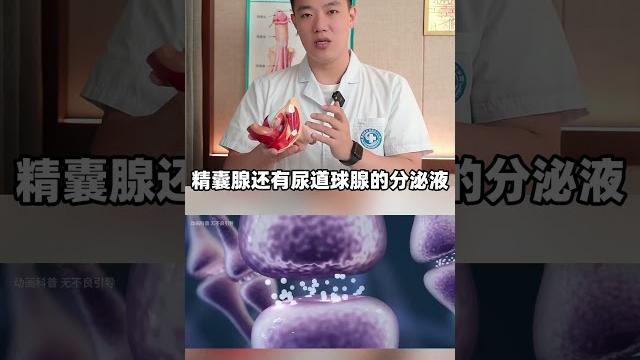 射精前10秒,身体都发生了什么?科普 医生 男性 涨知识 趣事 射精前10秒,身体都发生了什么?科普 医生 男性 涨知识 趣事