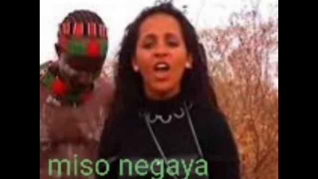 Saron teferi / miso negaya/ Saron teferi / miso negaya/
