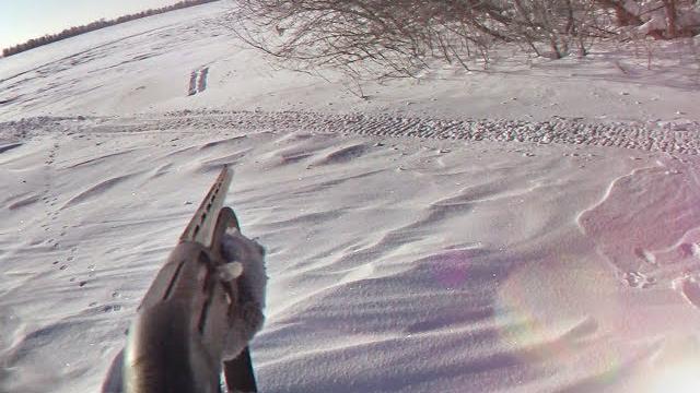 Охота на зайца троплением зимой! секреты! Охота на зайца троплением зимой! секреты!