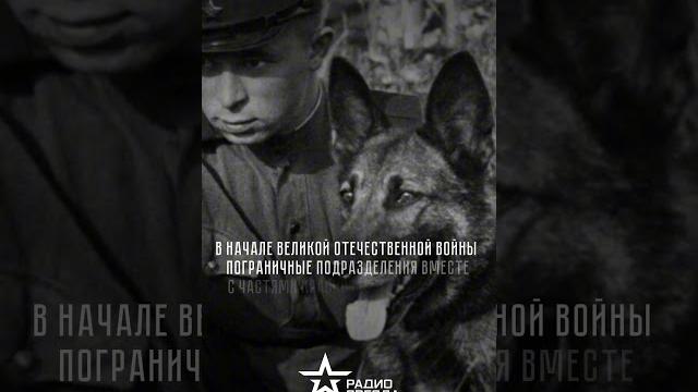 28 мая — день пограничника ⭐️ 28 мая — день пограничника ⭐️