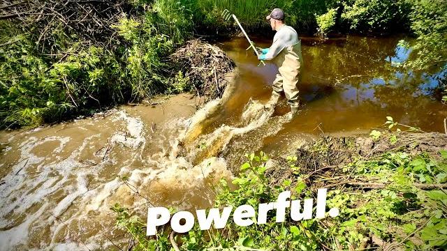 Almost 6 feet beaver dam drain! Almost 6 feet beaver dam drain!