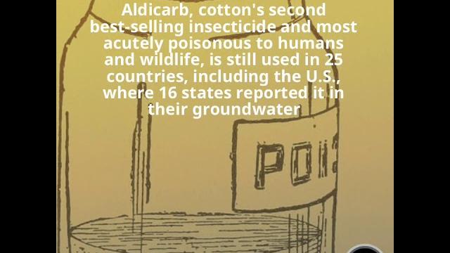 Aldicarb, cotton's second best-selling insecticide and most acutely poisonous to humans and wildlif… Aldicarb, cotton's second best-selling insecticide and most acutely poisonous to humans and wildlif…