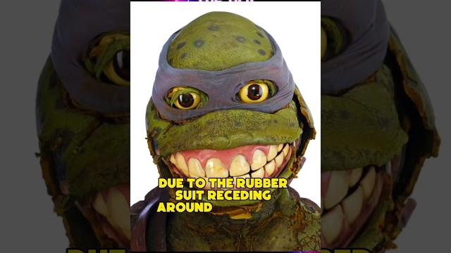 Rotten leonardo ninja turtles suit from the 90s Rotten leonardo ninja turtles suit from the 90s