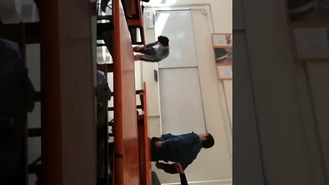 Uçan liseli Uçan liseli