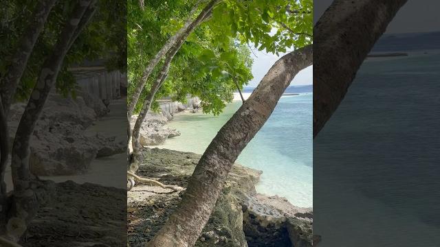 Let the ocean breeze blow your worries away. #islareta #beach #talicudisland #beachrecommendation Let the ocean breeze blow your worries away. #islareta #beach #talicudisland #beachrecommendation