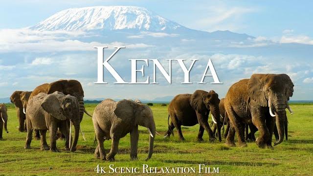 Kenya & masai mara 4k - scenic wildlife film with african music Kenya & masai mara 4k - scenic wildlife film with african music