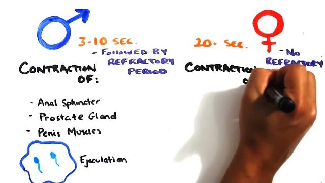 The science of orgasms The science of orgasms