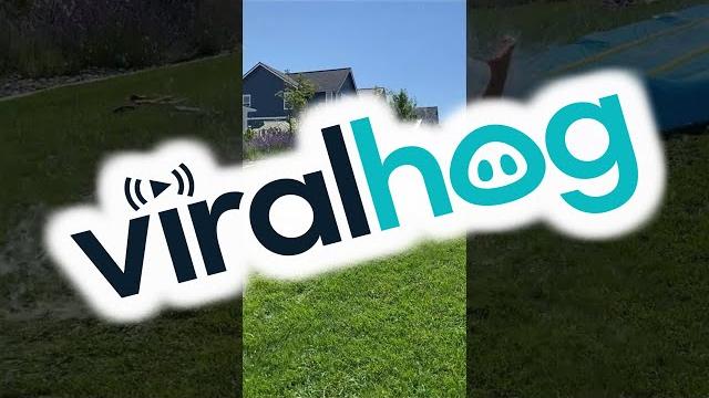 Woman bellyflops off slip-and-slide || viralhog Woman bellyflops off slip-and-slide || viralhog