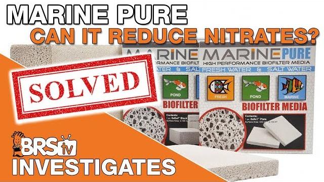 Can marine pure really reduce nitrates? we gain some valuable insight... | brstv investigates Can marine pure really reduce nitrates? we gain some valuable insight... | brstv investigates