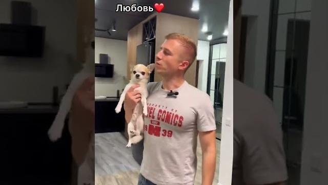 Самая умная собака россии Самая умная собака россии