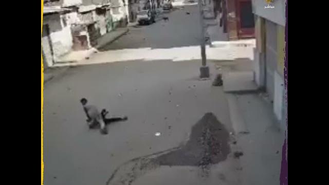 نجت من كلب فاعتدى عليها إنسان نجت من كلب فاعتدى عليها إنسان