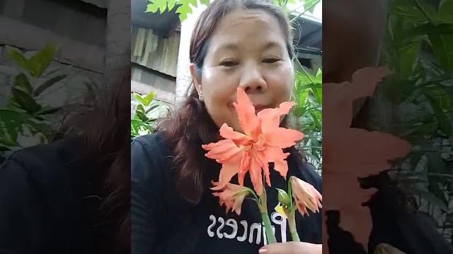 Flower #asmr #lovely Flower #asmr #lovely