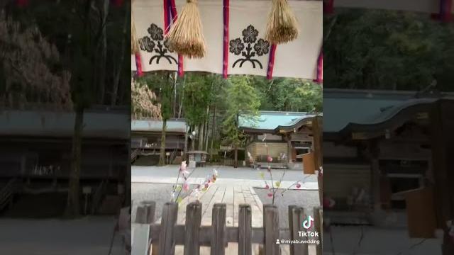 長野県諏訪市鎮座「諏訪大社上社本宮」参拝動画️ 長野県諏訪市鎮座「諏訪大社上社本宮」参拝動画️