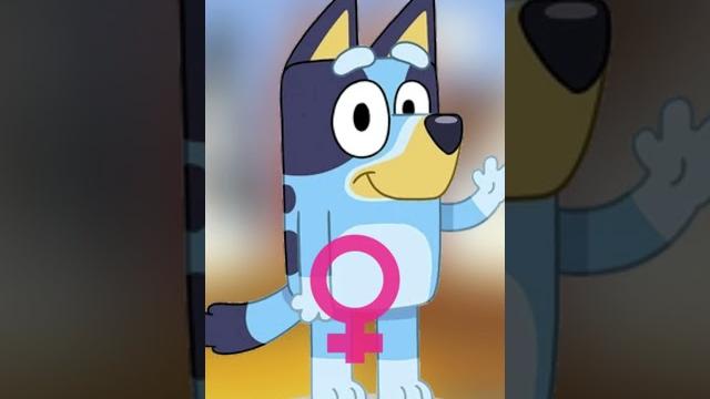 Is bluey a boy or a girl?? #shorts #bluey Is bluey a boy or a girl?? #shorts #bluey