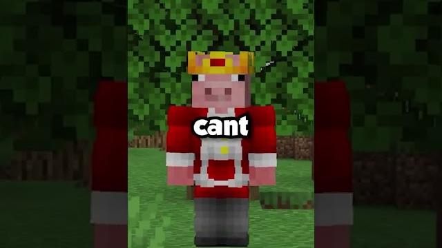 Who is the worst minecraft player? Who is the worst minecraft player?