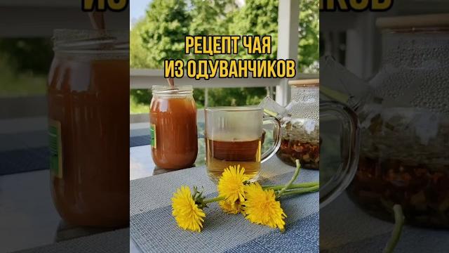 Рецепт полезного чая из одуванчиков с травянисто-карамельным вкусом #рецепт #чайизодуванчиков #дача Рецепт полезного чая из одуванчиков с травянисто-карамельным вкусом #рецепт #чайизодуванчиков #дача