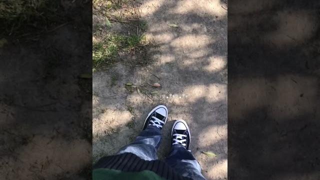Forest walk tiktok strwbrryvamp Forest walk tiktok strwbrryvamp