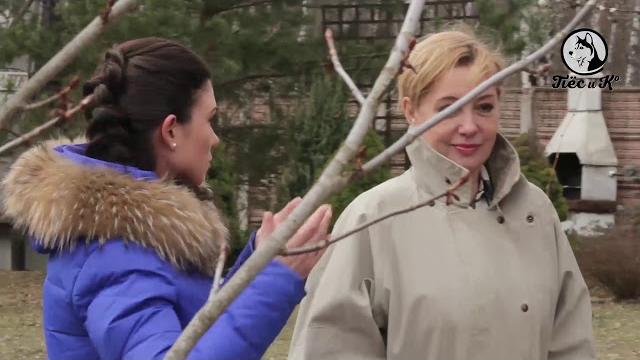 Дог-star. арина шарапова Дог-star. арина шарапова