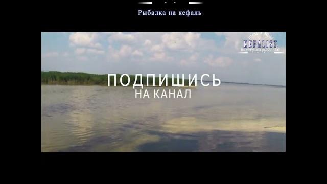 #shorts fishing, рыбалка, риболовля, pesca, balıqçılıq, 釣り, balık tutma, балық аулау, თევზჭერის #shorts fishing, рыбалка, риболовля, pesca, balıqçılıq, 釣り, balık tutma, балық аулау, თევზჭერის